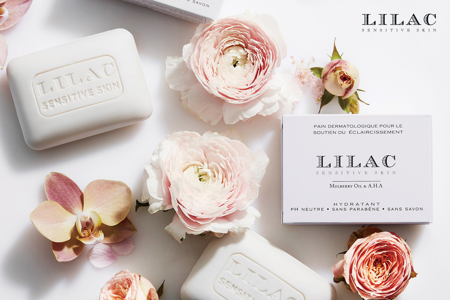 lilac-01.jpg